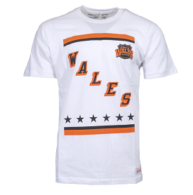 2024 NHL All Star Mitchell & Ness Men's Vintage Wales Tee