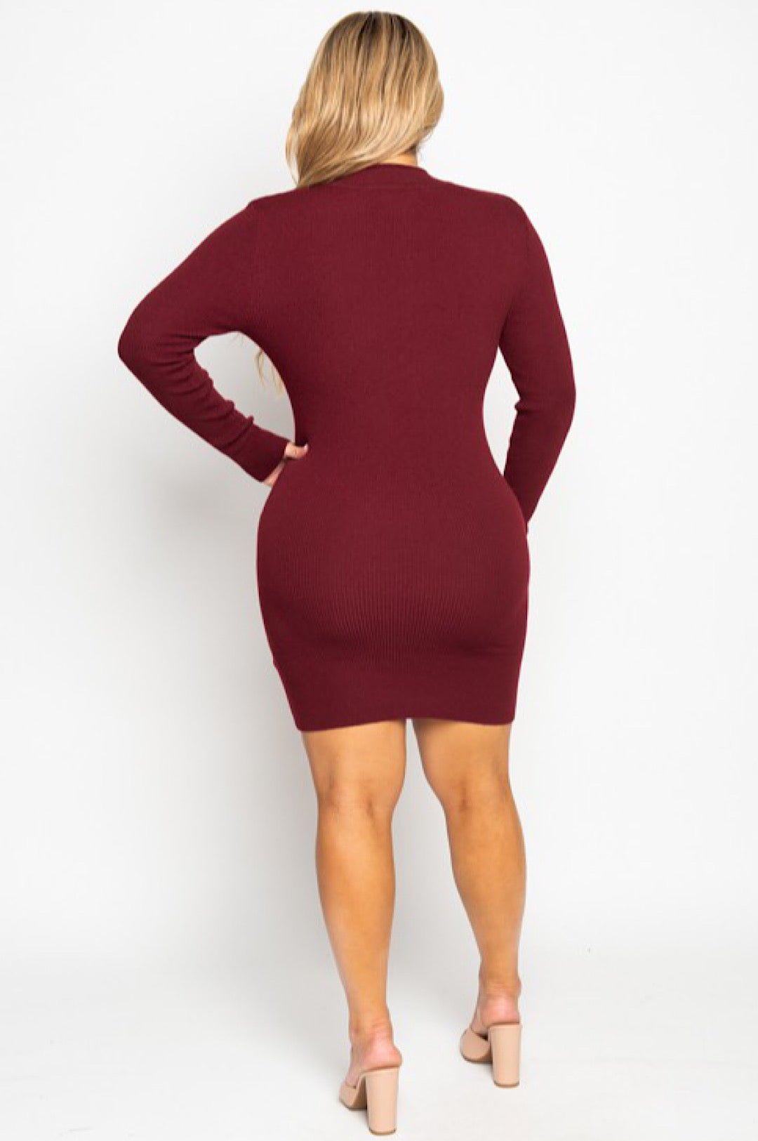 Burgundy Black Zip Front Sweater Dress Top