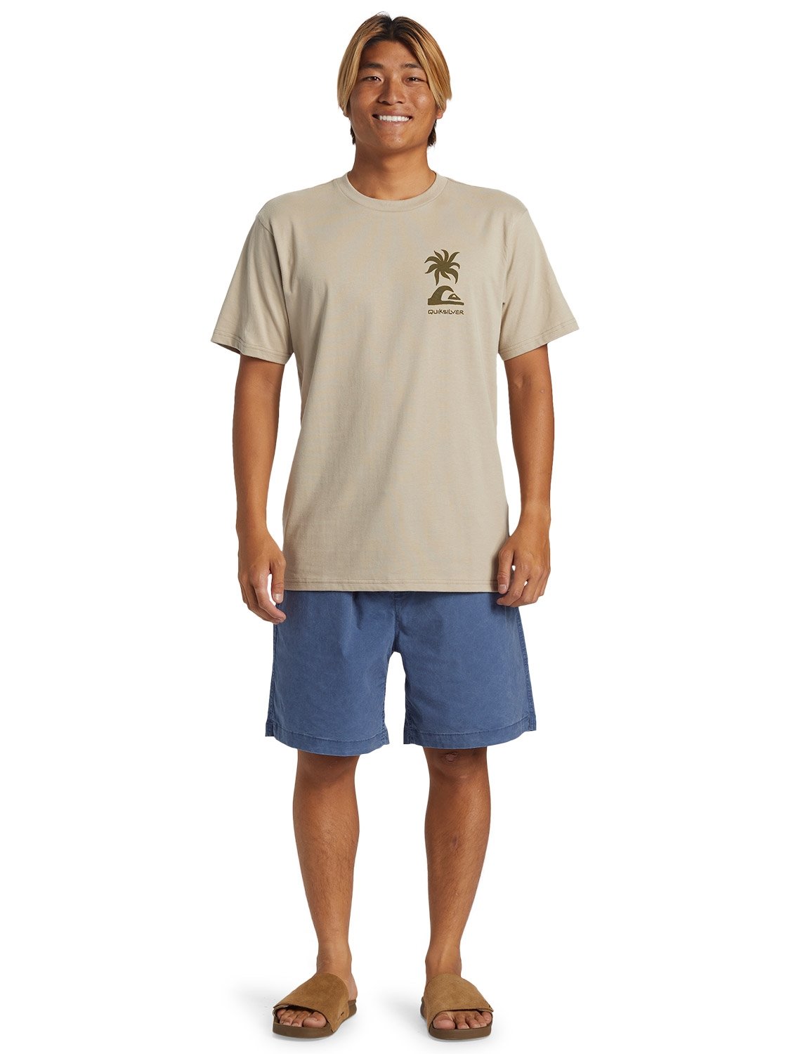 Quiksilver Men's Tropical Breeze Graphic T-Shirt