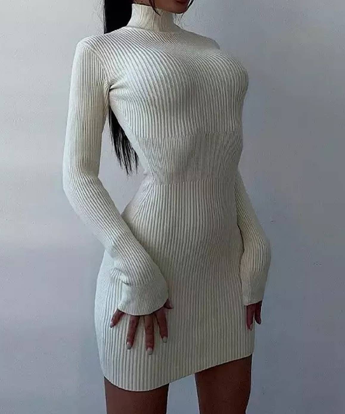 Turtleneck Dress