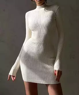 Turtleneck Dress