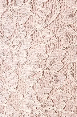 Zarita Pink Lace Dress